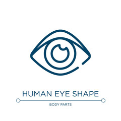Poster - Human eye shape icon. Linear vector illustration from medical icons collection. Outline human eye shape icon vector. Thin line symbol for use on web and mobile apps, logo, print media.