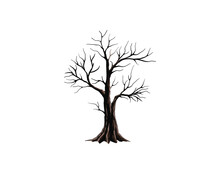 Dried Tree Vector Illustration, Isolated On White