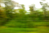 Fototapeta Sport - Trees in motion as an abstract background.
