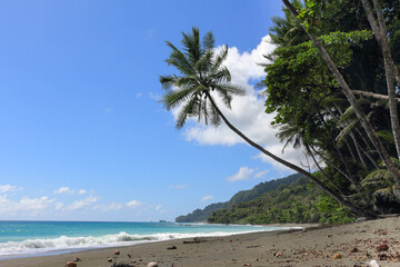 Beautiful beach scenery in Corcovado National Par, summer and waves, Costa Rica, Central America