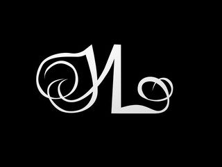 Fototapete - 3d font,  Font stylization of the letters N and L. font composition of the logo. 3D rendering.