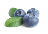 Fototapeta  - Fresh ripe blueberries with leaves on white background
