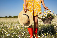 Woman With Straw Hat And Wicker Basket Full Of Chamomiles Walking In Field On Sunny Day, Closeup
