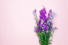 Bouquet Of Purple Wildflowers On A Pink Paper Background With A Place For Text