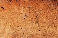 Texture Of The Soil In Light Brown Color With Cracks