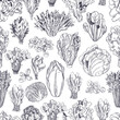 Hand drawn different kinds of lettuce on white background. Vector  seamless pattern