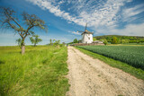 Panorama z młynem w tle
