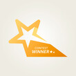 Vector Design Of A Star Shaped Award For The Contest Winner