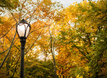 Lamp Post Detail In Central Park In Autumn, New York City
