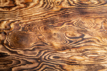 .he texture of burnt wood. wood background