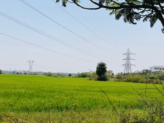 Rural landscape with high voltage power lines in the field