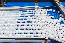 Egg Factory Industry Poultry Conveyor Production