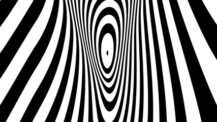 Poster - Abstract wave of white and black curved lines. Hallucination. Optical illusion. Twisted illustration. Futuristic background of lines. Dynamic wave. Vector.
