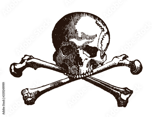 Cuadros en Lienzo Human skull and crossed bones, after an antique engraving from the 19th century