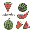 Watermelon slices. Colorful pencil line sketch collection of fruits and berries isolated on white background. Doodle hand drawn fruit icons. Vector illustration