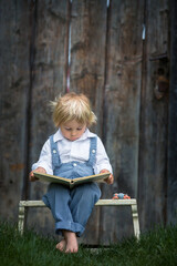 Wall Mural - Blond toddler boy, reading book in garden in front of old wooden door