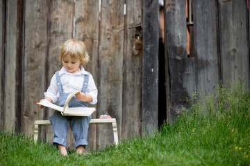 Wall Mural - Blond toddler boy, reading book in garden in front of old wooden door