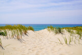 Fototapeta Morze - natural dune access to sand beach of le porge in atlantic ocean France