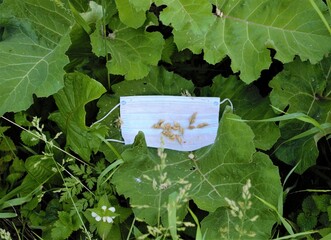 Composition (abstraction): bright green summer vegetation and a carelessly thrown medical mask with dried grass inside