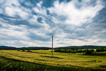 An electricity pole in a wheat field under a dramatic sky