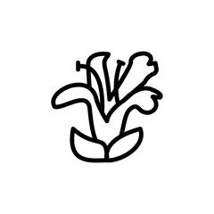 Poster - Acanthaceae white flower icon. Simple line, outline vector elements of botanicals icons for ui and ux, website or mobile application