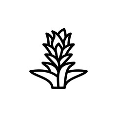 Poster - Bromeliaceae leaf icon. Simple line, outline vector elements of botanicals icons for ui and ux, website or mobile application
