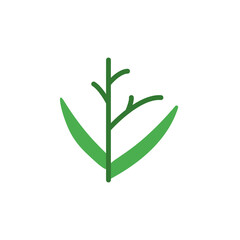 Poster - Grass leaf icon. Simple color vector elements of botanicals icons for ui and ux, website or mobile application