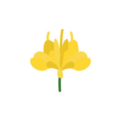 Poster - Safflower flower icon. Simple color vector elements of botanicals icons for ui and ux, website or mobile application