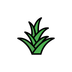 Poster - Bromeliaceae leaf icon. Simple color with outline vector elements of healing plant icons for ui and ux, website or mobile application