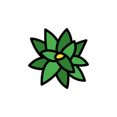 Poster - Bromeliaceae leaf icon. Simple color with outline vector elements of healing plant icons for ui and ux, website or mobile application