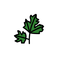 Poster - Parsley leaf icon. Simple color with outline vector elements of healing plant icons for ui and ux, website or mobile application