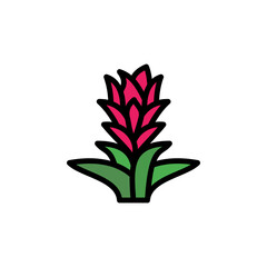 Poster - Bromeliaceae leaf icon. Simple color with outline vector elements of healing plant icons for ui and ux, website or mobile application