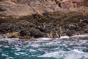 Arraial do Cabo is a Brazilian municipality in the Region of the Lakes, in the state of Rio de Janeiro. The city is coastal, and has an average altitude of just eight meters. Founded 1503