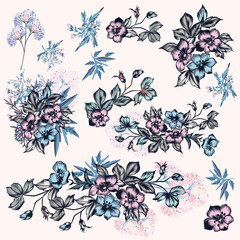 Poster - Collection of vector hand drawn flowers in vintage style
