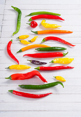 Wall Mural - chili pepper selection on white wood table background