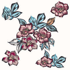 Poster - Set of vector hand drawn flowers for design