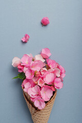 Fotomurales - Ice cream cone with pink begonia flowers