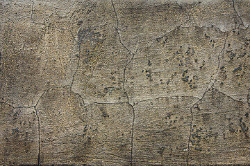 Wall Mural - texture of an old gray concrete wall close-up in spots and scratches