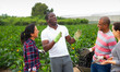 © JackF - Male and female horticulturists friendly talking on courgettes field