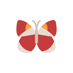 Poster - Butterfly, insect icon. Simple color vector elements of lepidoptera icons for ui and ux, website or mobile application