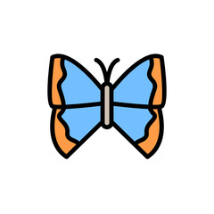 Poster - Butterfly, insect icon. Simple color with outline vector elements of lepidoptera icons for ui and ux, website or mobile application