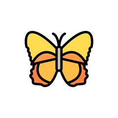 Poster - Butterfly, insect icon. Simple color with outline vector elements of lepidoptera icons for ui and ux, website or mobile application