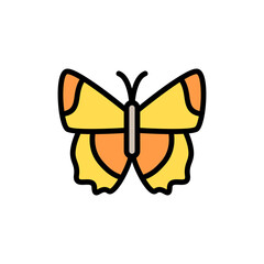Poster - Butterfly, insect icon. Simple color with outline vector elements of lepidoptera icons for ui and ux, website or mobile application