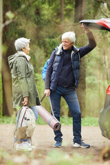 Wall Mural - full length portrait of modern senior couple opening trunk of car and smiling happily while going on