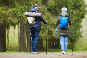 Wall Mural - back view portrait of active senior couple enjoying nordic walking with poles during hike in forest,