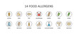 14 food allergens. Round colored vector icons with editable stroke. Gluten free milk eggs celery sesame nuts. Fish molluscs crustaceans soybean lupins. Chemical constituents of sulphur dioxide