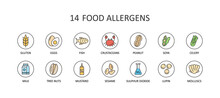 14 Food Allergens. Round Colored Vector Icons With Editable Stroke. Gluten Free Milk Eggs Celery Sesame Nuts. Fish Molluscs Crustaceans Soybean Lupins. Chemical Constituents Of Sulphur Dioxide