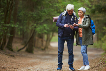 Wall Mural - full length portrait of active senior couple using navigation app via smartphone while enjoying hike