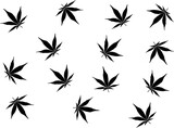 Fototapeta Sypialnia - Marijuana pattern. Cannabis leaf on the green background. Vector Illustration.