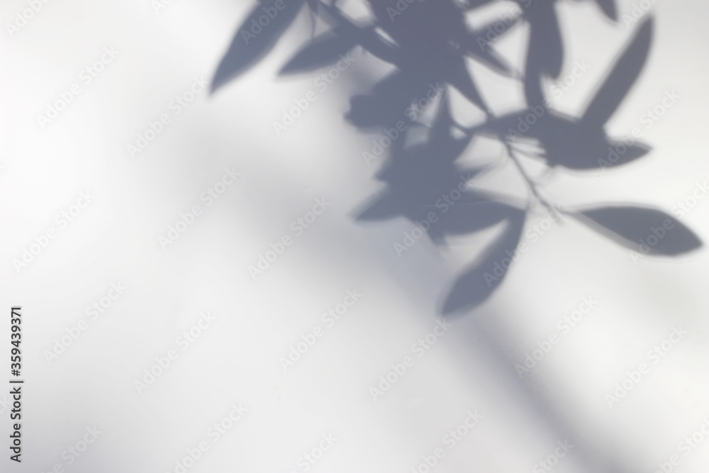 Shadows of olive tree leaves, branches over white wall. Summer background with a pattern of lens flare. Sunlight overlay, soft blurred photograpy, no people, empty copy space. Mediterranean concept. - obrazy, fototapety, plakaty 
